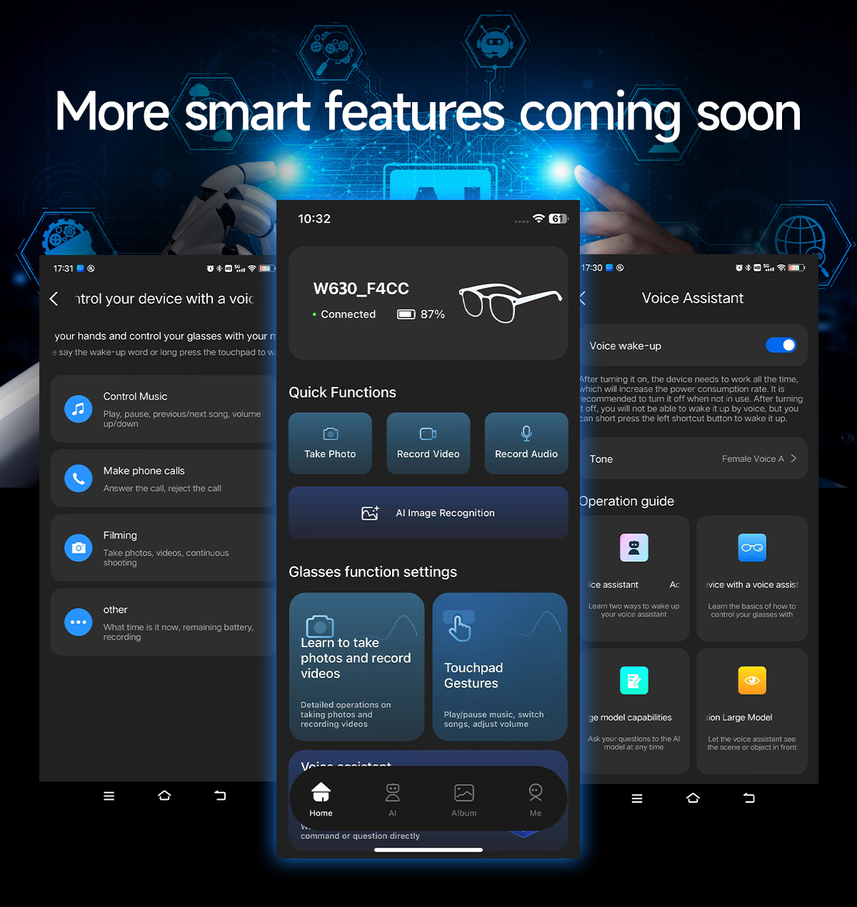 Voice Assistant Interface